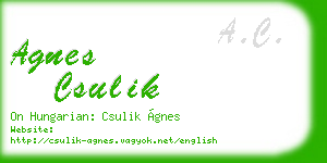 agnes csulik business card